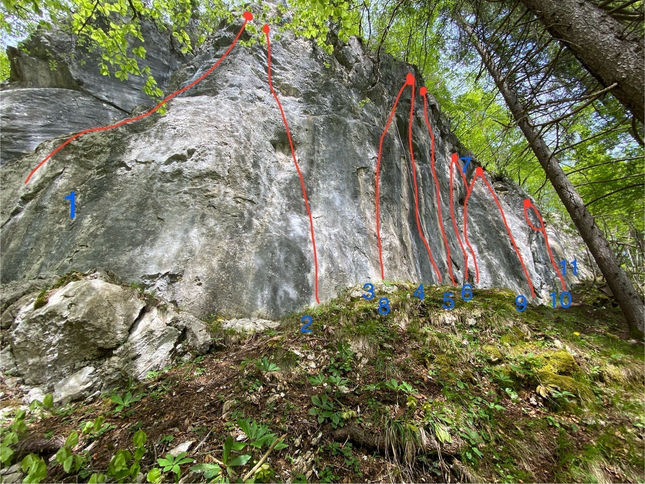 Falesia Coccau vicino a Tarvisio, arrampicata sportiva con esposizione sud